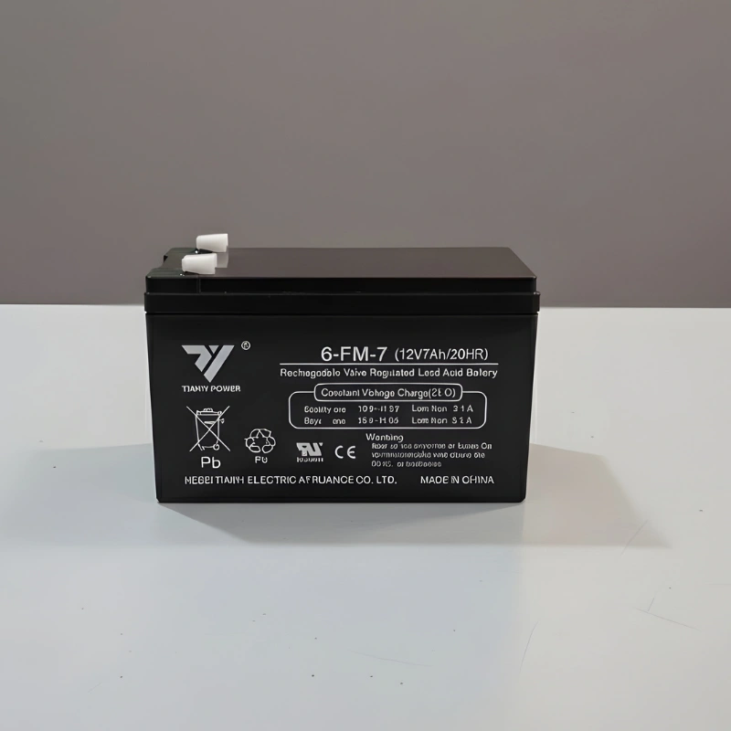 Batterie TIANYI POWER TY2025.08 12V 7A
